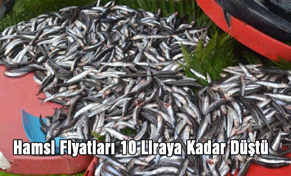 Hamsi Fiyatları 10 Liraya Kadar Düştü