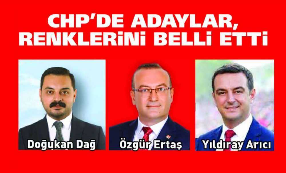 Chp'de Adaylar, Renklerini Belli Etti