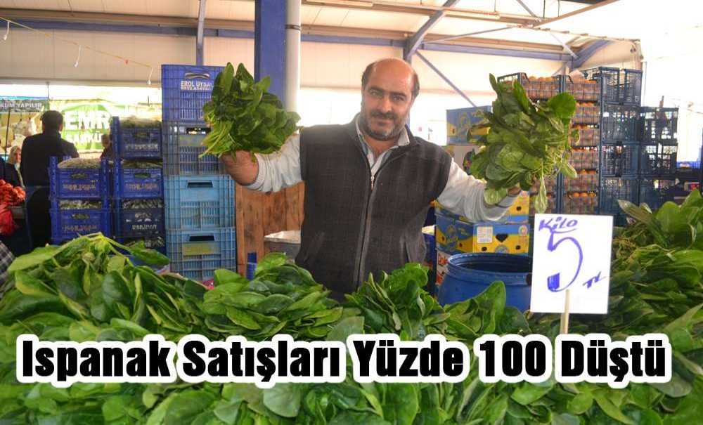 Ispanak Satışları Yüzde 100 Düştü