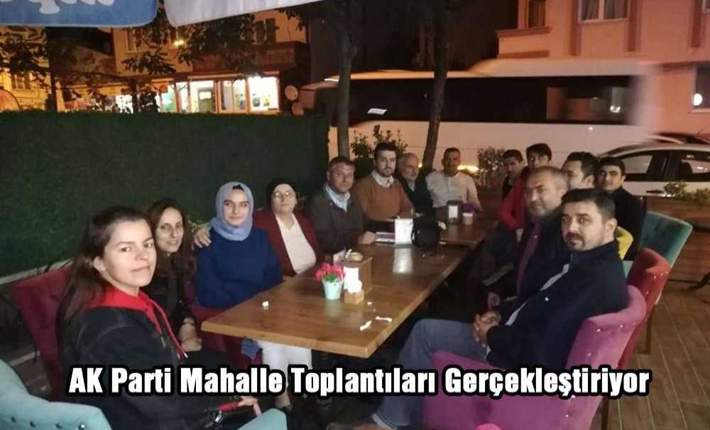 Ak Parti Mahalle Toplantıları Gerçekleştiriyor