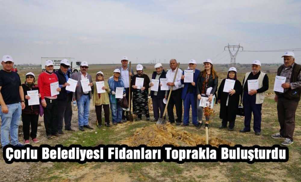 Çorlu Belediyesi Fidanları Toprakla Buluşturdu