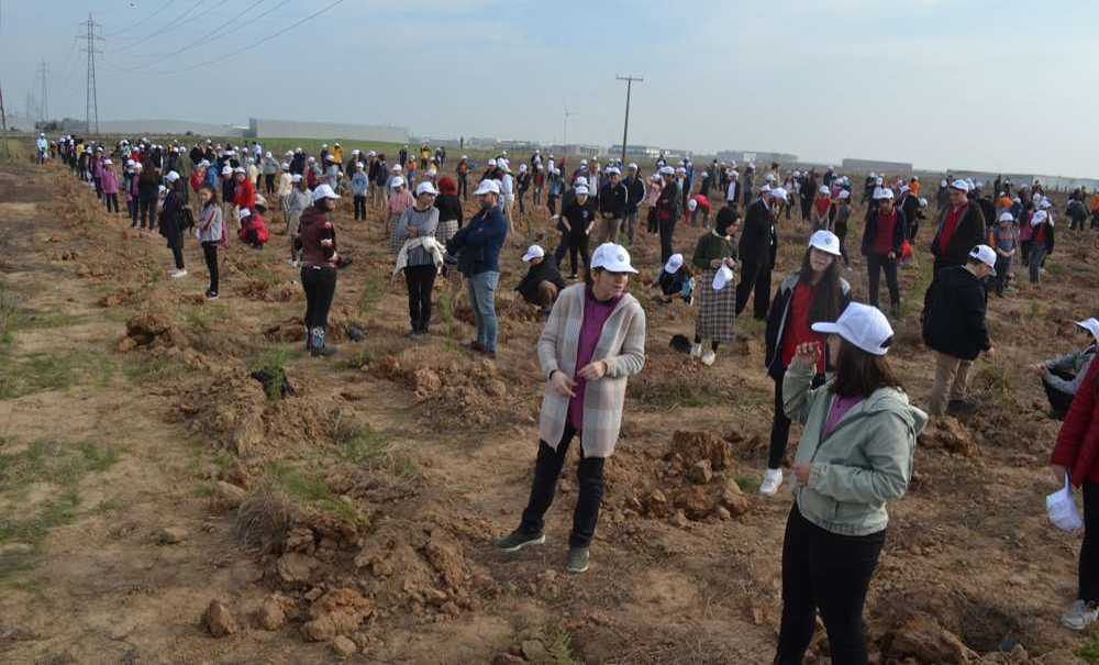 Gelecek İçin 20 Bin Fidan Toprakla Buluştu