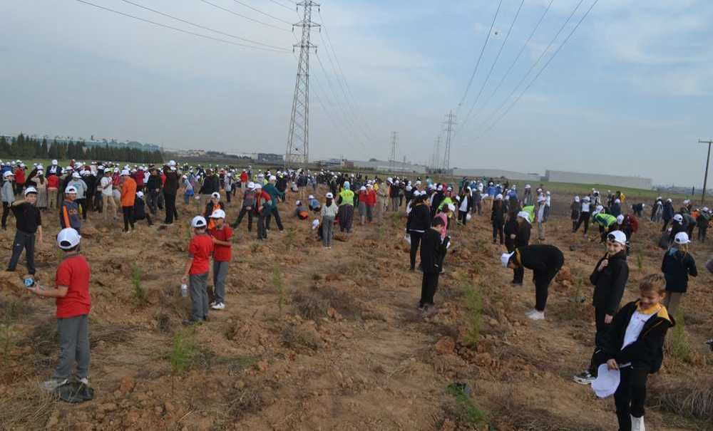 Gelecek İçin 20 Bin Fidan Toprakla Buluştu
