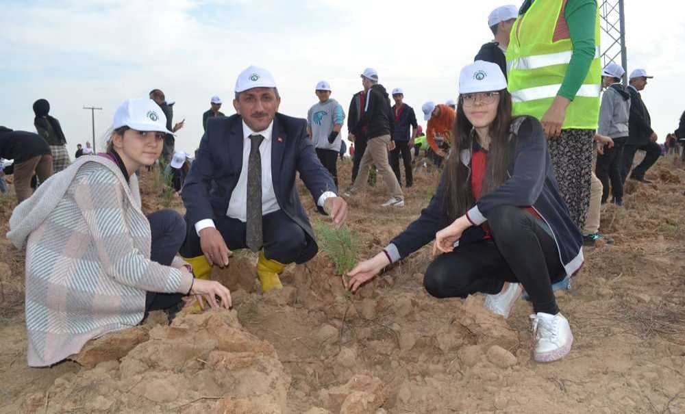 Gelecek İçin 20 Bin Fidan Toprakla Buluştu