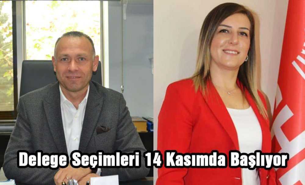 Delege Seçimleri 14 Kasımda Başlıyor