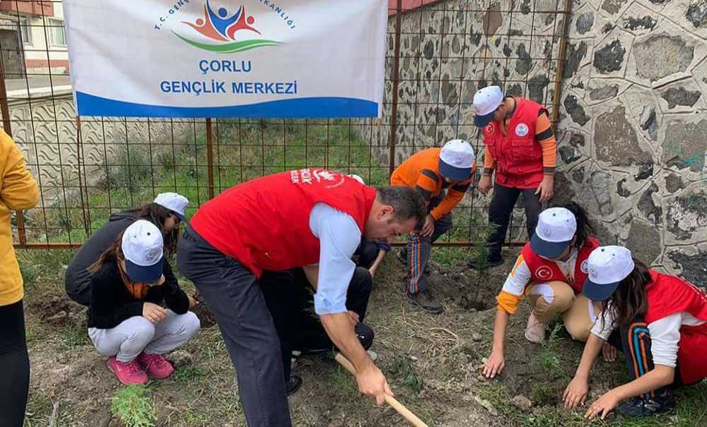 Gençlik Merkezi Fidanları Toprakla Buluşturdu