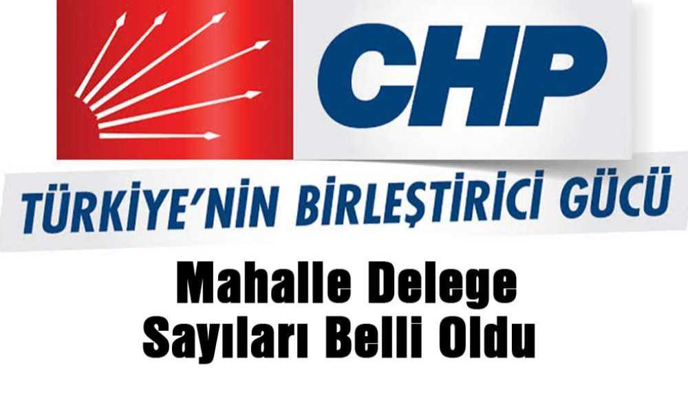 Mahalle Delege Sayıları Belli Oldu