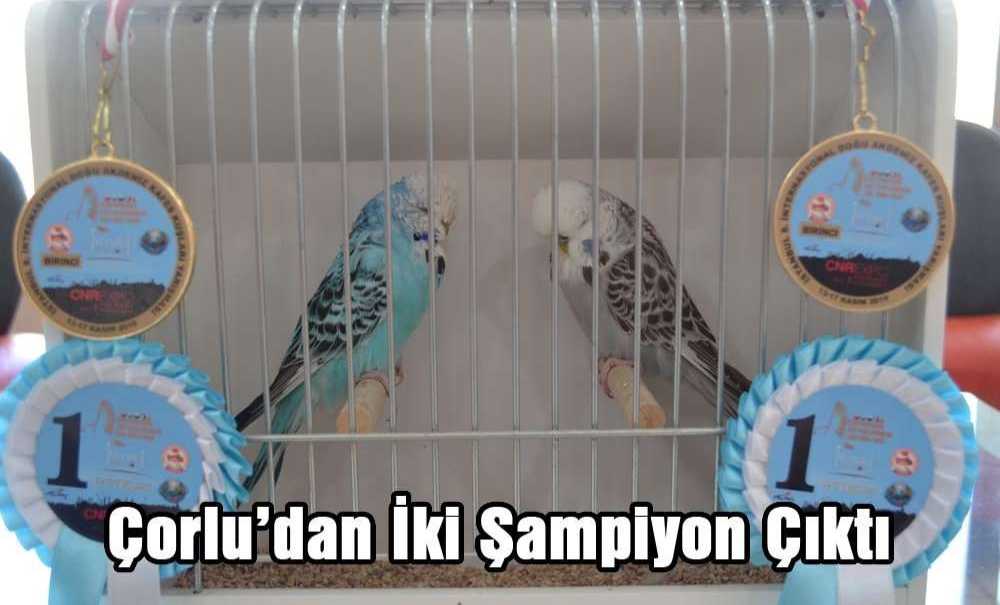 Çorlu'dan İki Şampiyon Çıktı