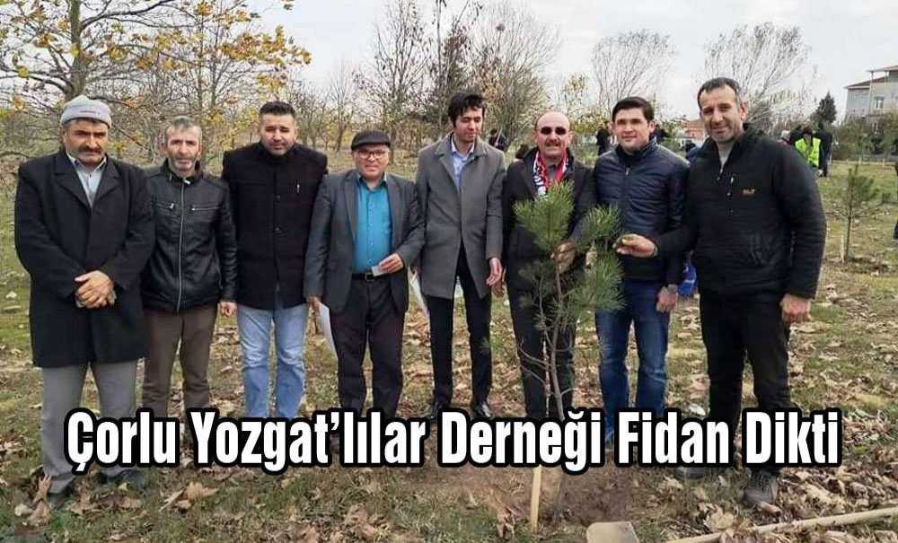 Çorlu Yozgatlılar Derneği Fidan Dikti