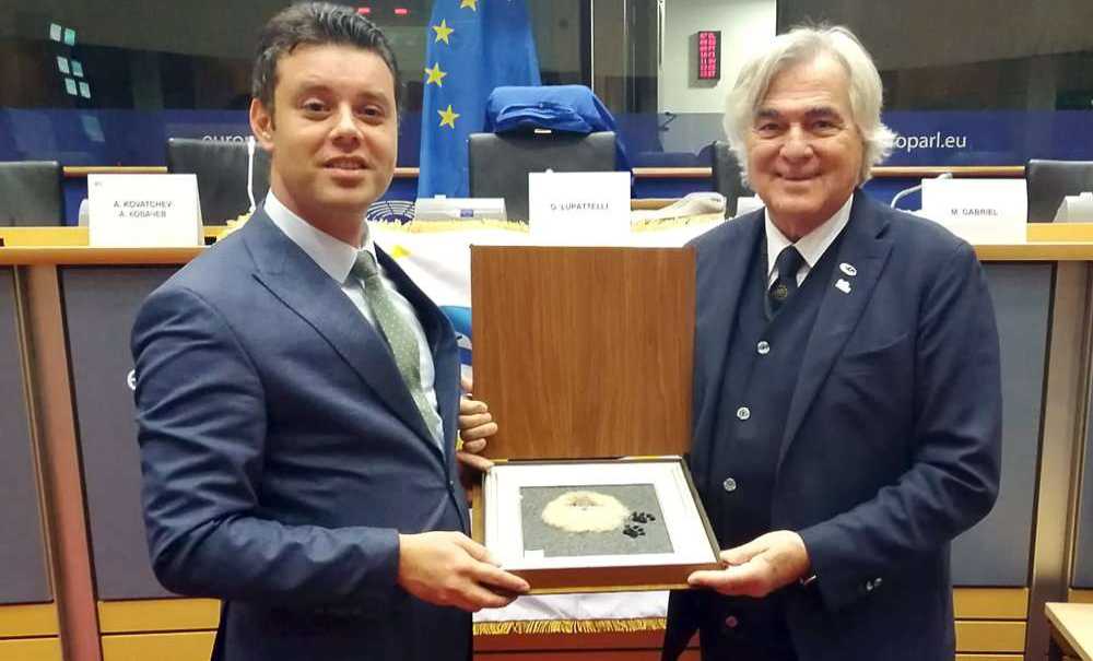 Çorlu Artık Resmen 2020 Avrupa Spor Kenti