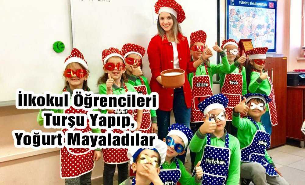 İlkokul Öğrencileri Turşu Yapıp, Yoğurt Mayaladılar