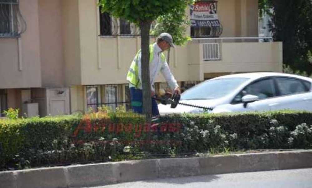 Park Ve Bahçeler Müdürlüğü Çalışıyor