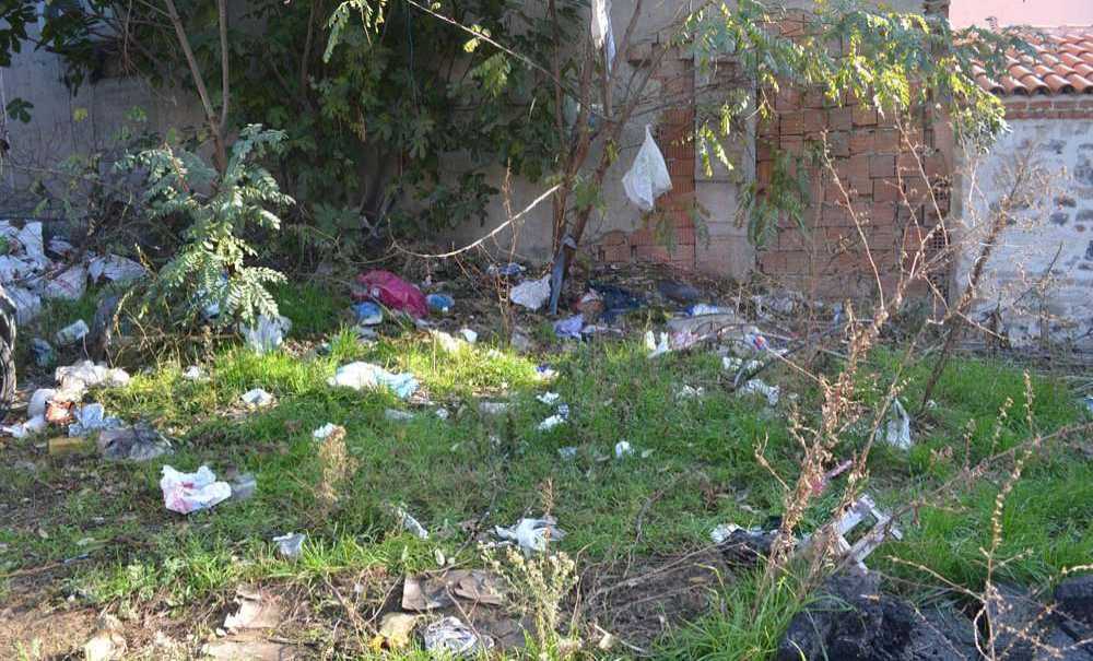 Çöpler Ağacı Dilek Ağacına Çevirdi