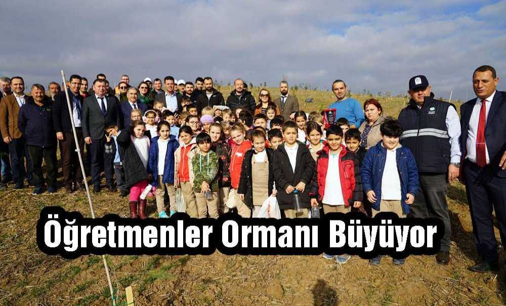 Öğretmenler Ormanı Büyüyor