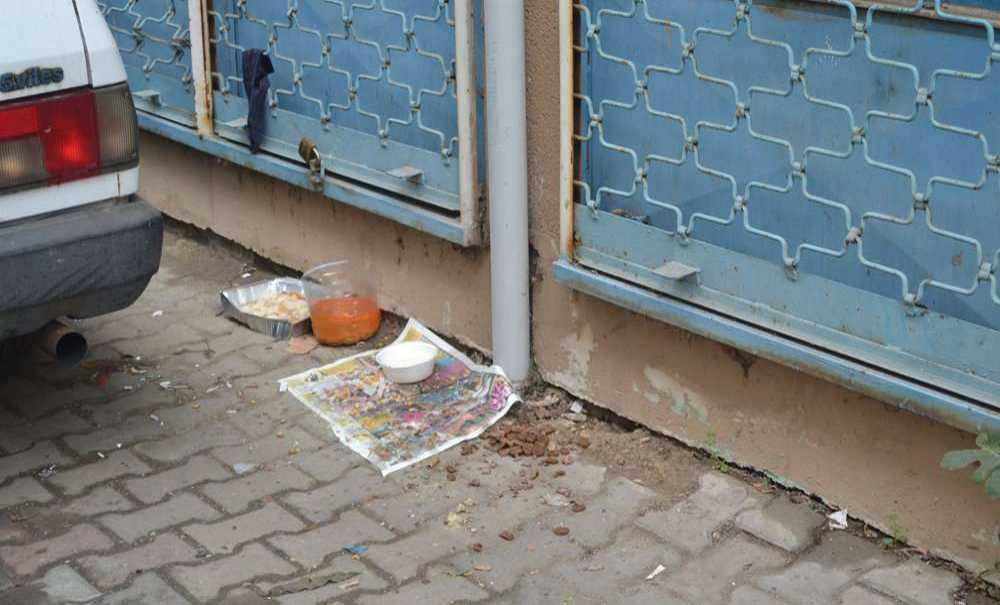 “Belediye Bu Konuda Çalışma Yapmalı”