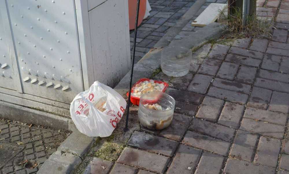 “Belediye Bu Konuda Çalışma Yapmalı”