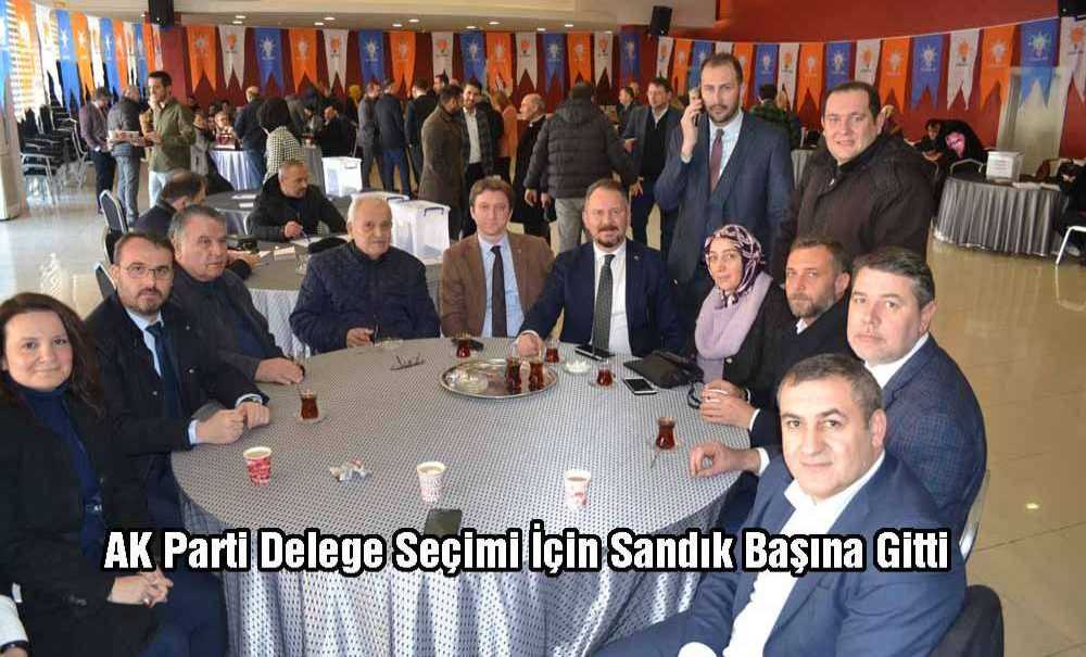 Ak Parti Delege Seçimi İçin Sandık Başına Gitti