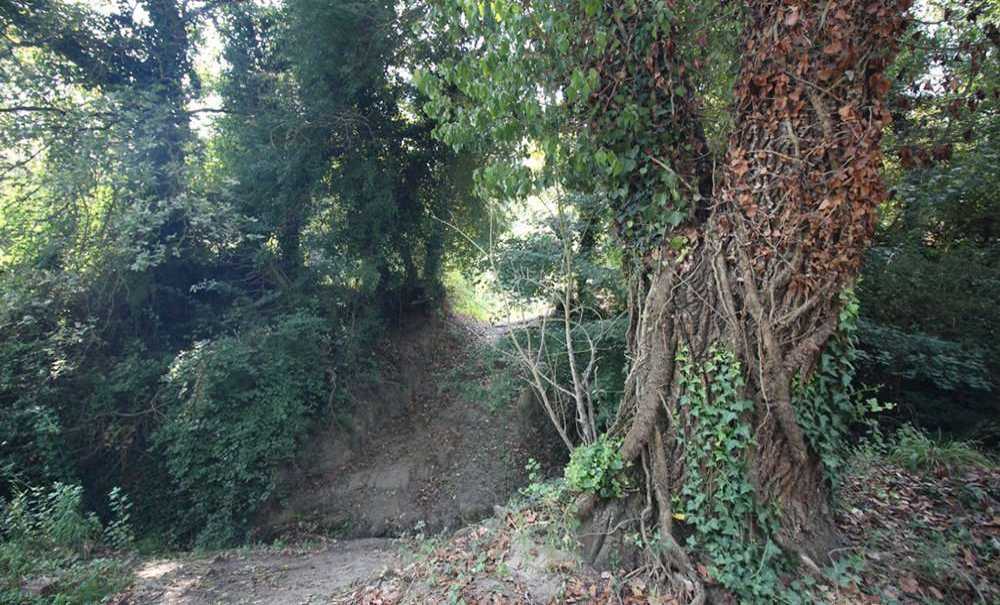 Çorlu'nun Tek Ormanlık Bölgesi Yaşamaya Devam Edecek