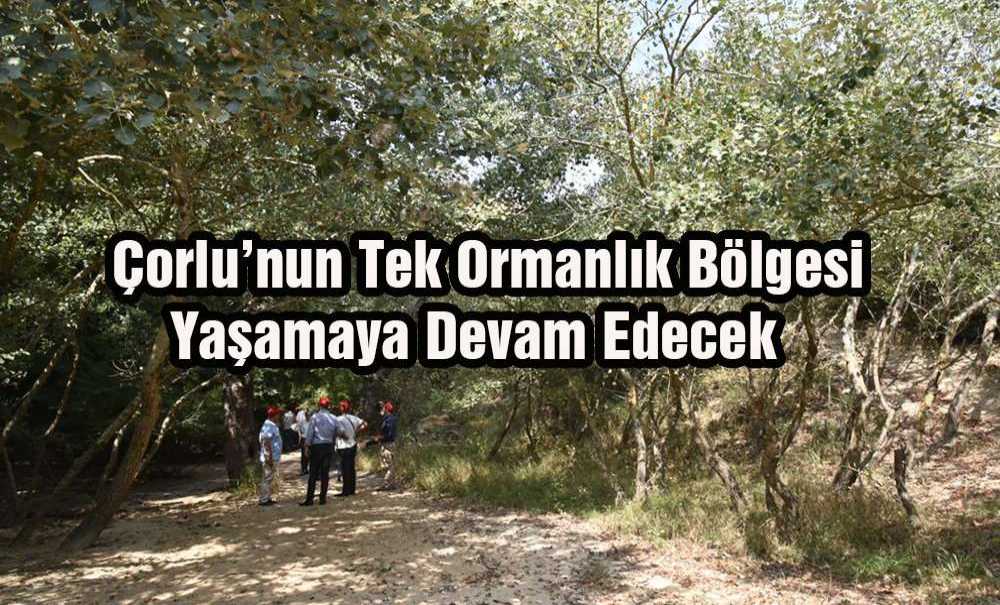 Çorlu'nun Tek Ormanlık Bölgesi Yaşamaya Devam Edecek