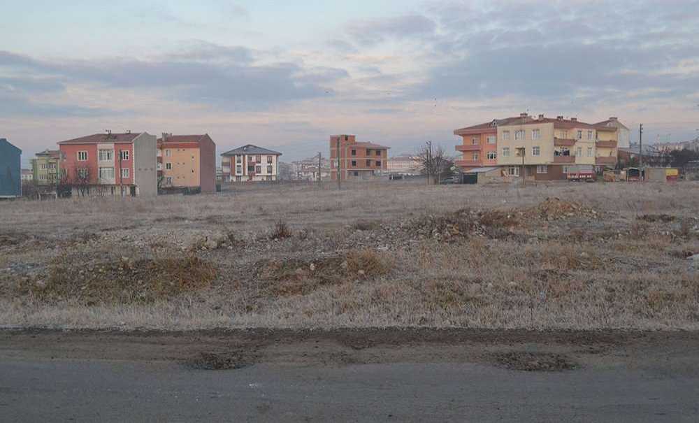 Kar Değil, Kırağı Yağıyor