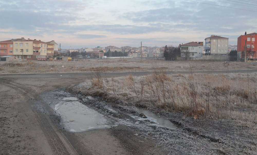 Kar Değil, Kırağı Yağıyor