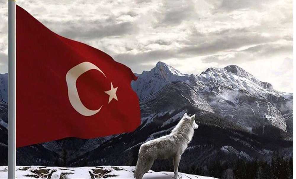 Mhp'den Yunan Vekile Sert Tepki