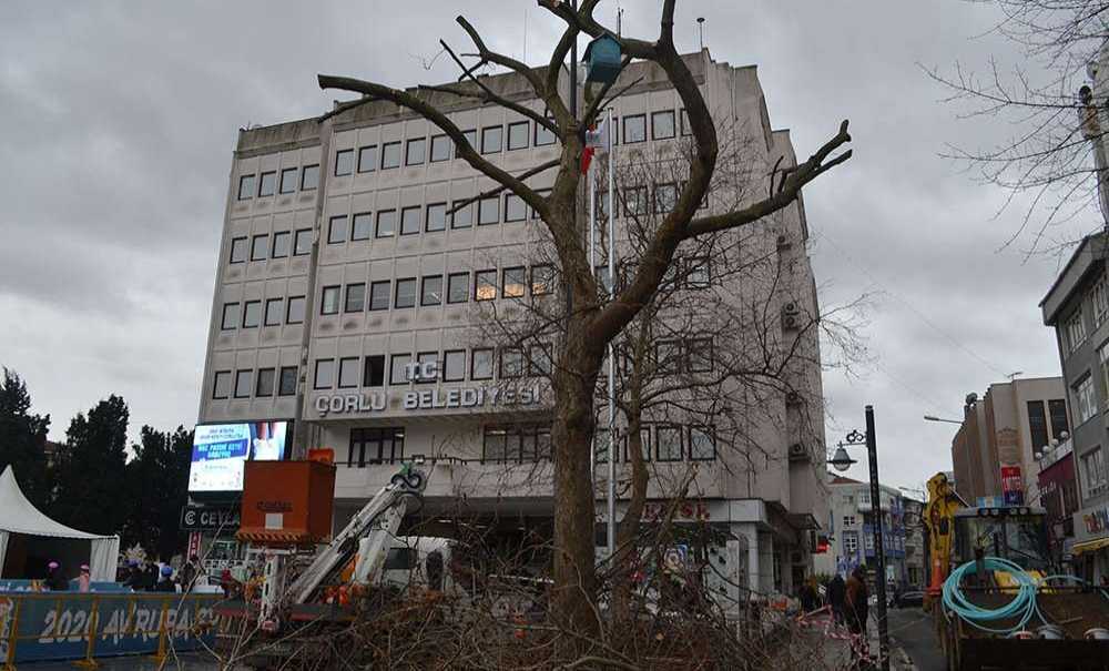 Cumhuriyet Meydanı'ndaki Ağaçlar Budanmaya Devam Ediyor