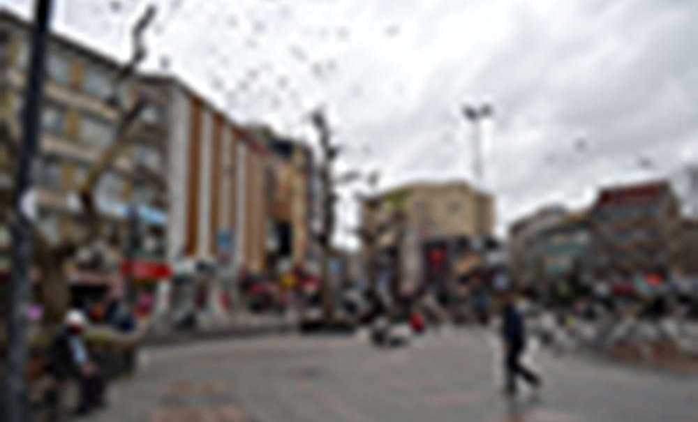 Cumhuriyet Meydanı'ndaki Ağaçlar Budanmaya Devam Ediyor