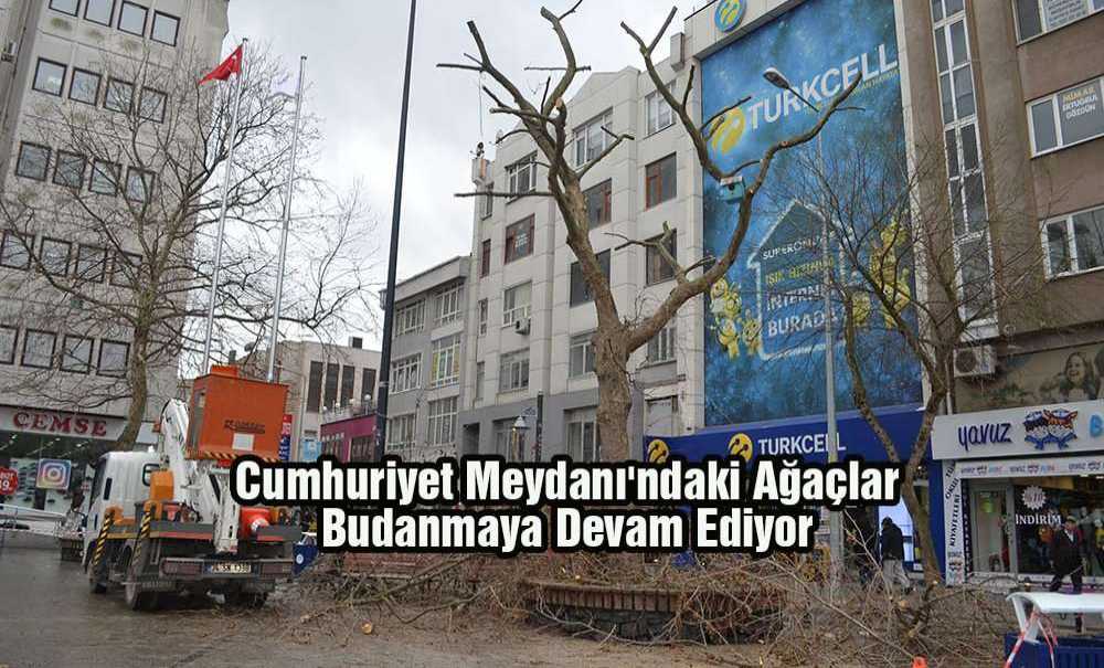 Cumhuriyet Meydanı'ndaki Ağaçlar Budanmaya Devam Ediyor
