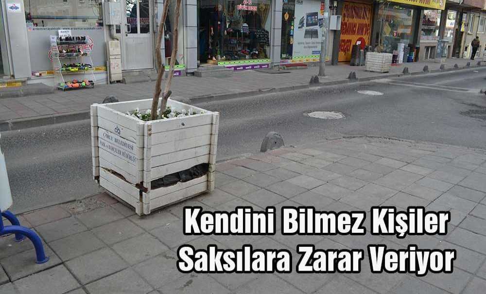 Kendini Bilmez Kişiler Saksılara Zarar Veriyor