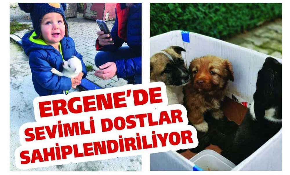 Ergene'de Sevimli Dostlar Sahiplendiriliyor