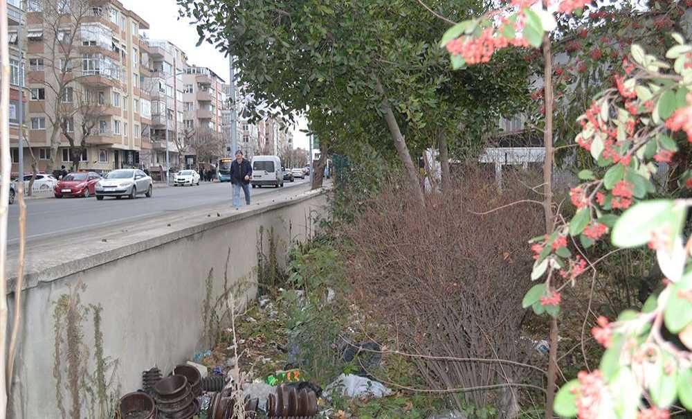 Atıl Durumda Olan Millet Bahçesi Pislikten Geçilmiyor