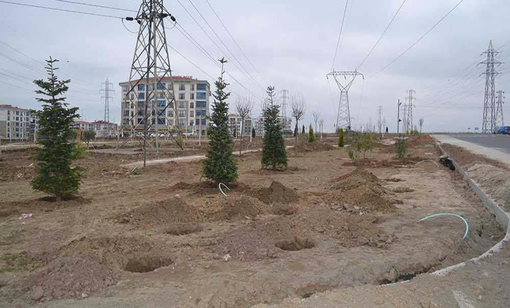 Botanik Bahçede Çalışmalar Sürüyor