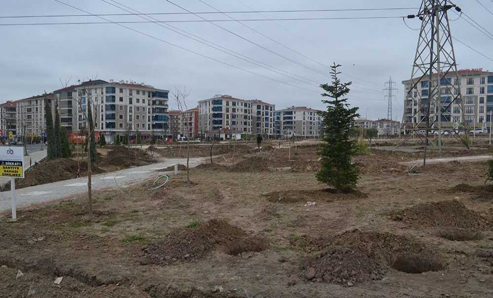 Botanik Bahçede Çalışmalar Sürüyor