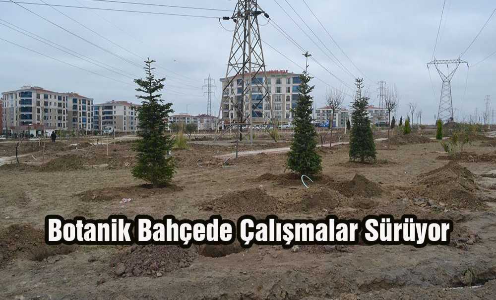 Botanik Bahçede Çalışmalar Sürüyor