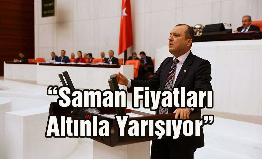 “Saman Fiyatları Altınla Yarışıyor”