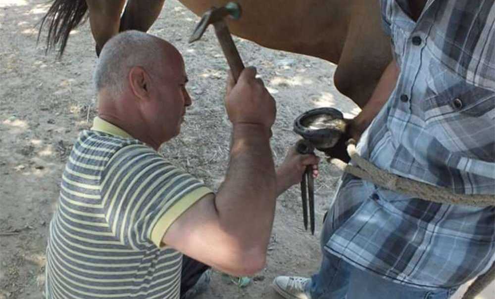 Nalbantlık Mesleği De Ölüyor
