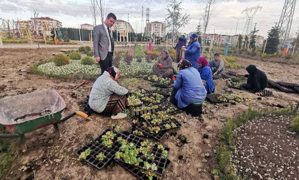 Nefes Park'ta Damla Sulama Sistemi Kullanılacak