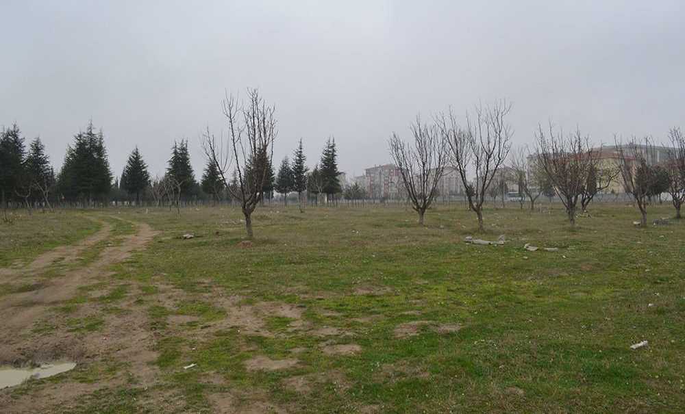 Tema Parkıyla İlgili, Söz Var İcraat Yok