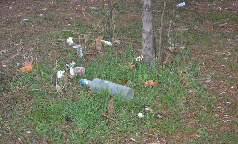 Tema Parkıyla İlgili, Söz Var İcraat Yok