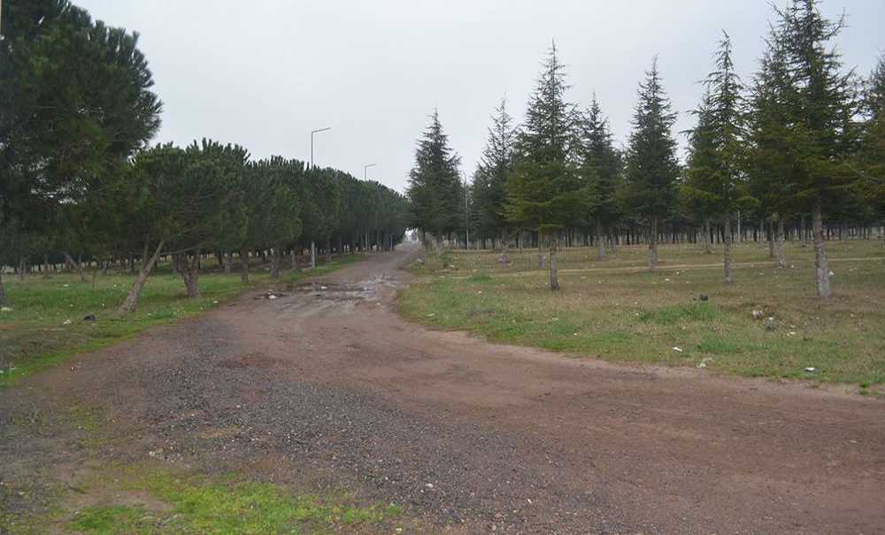 Tema Parkıyla İlgili, Söz Var İcraat Yok