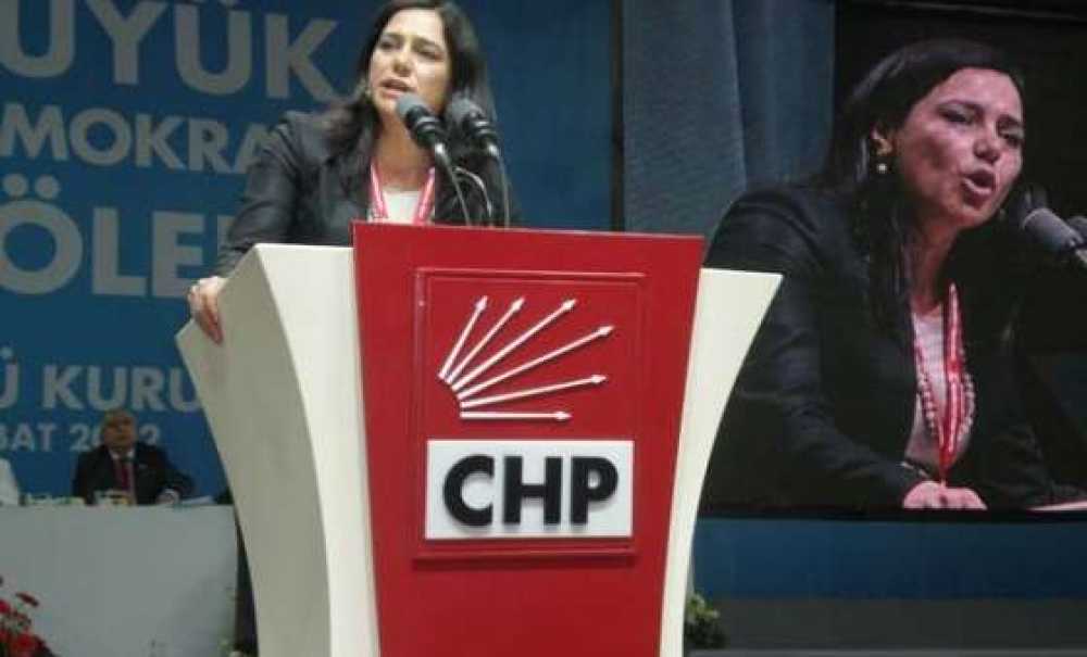 Chp'li Yüceer Çiftçileri Meclise Taşıdı