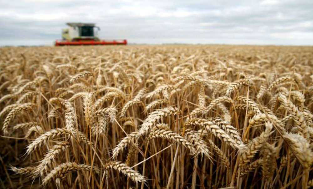 “Çiftçiler Üretmeye Devam Edecek”