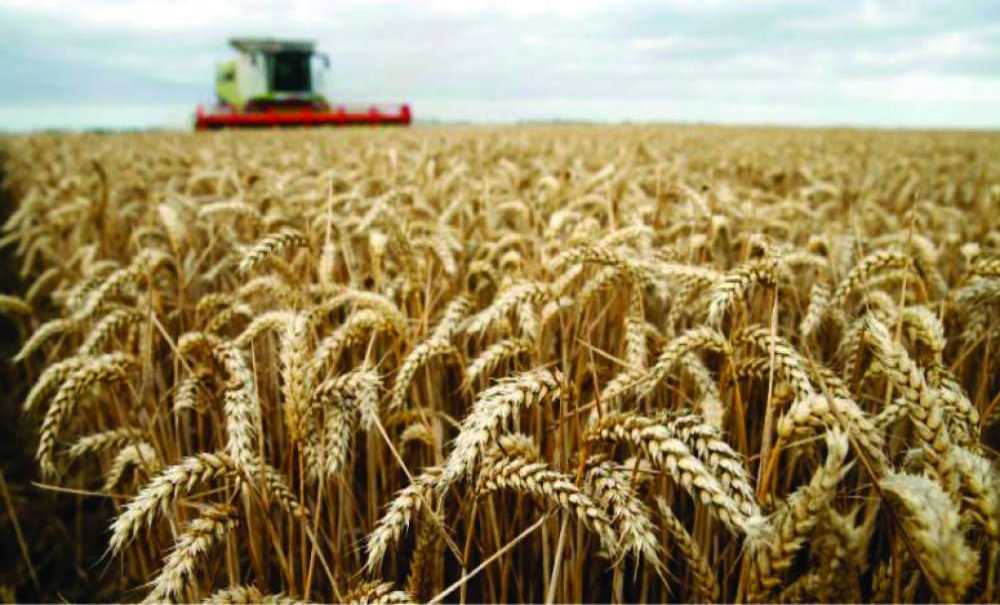 “Çiftçiler Üretmeye Devam Edecek”