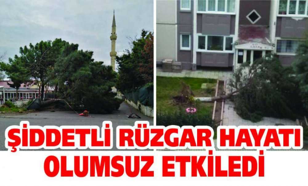 Şiddetli Rüzgar Hayatı Olumsuz Etkiledi