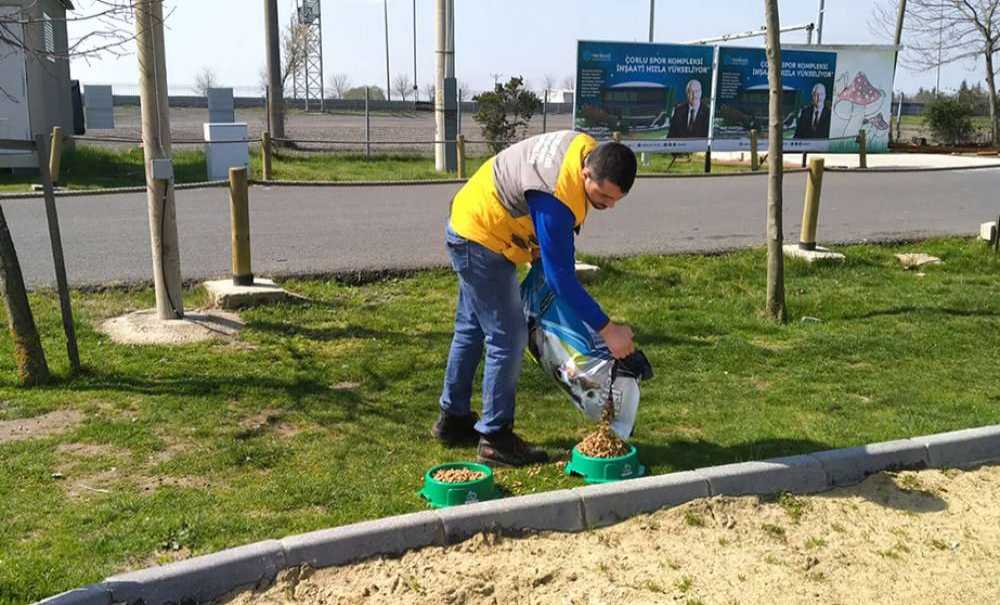 “Can Dostlarımızı Yalnız Bırakmıyoruz”