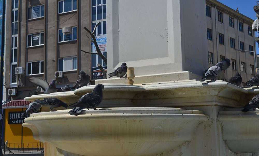 Havuza Pislik Atıldığı Için Arıza Meydana Geliyor