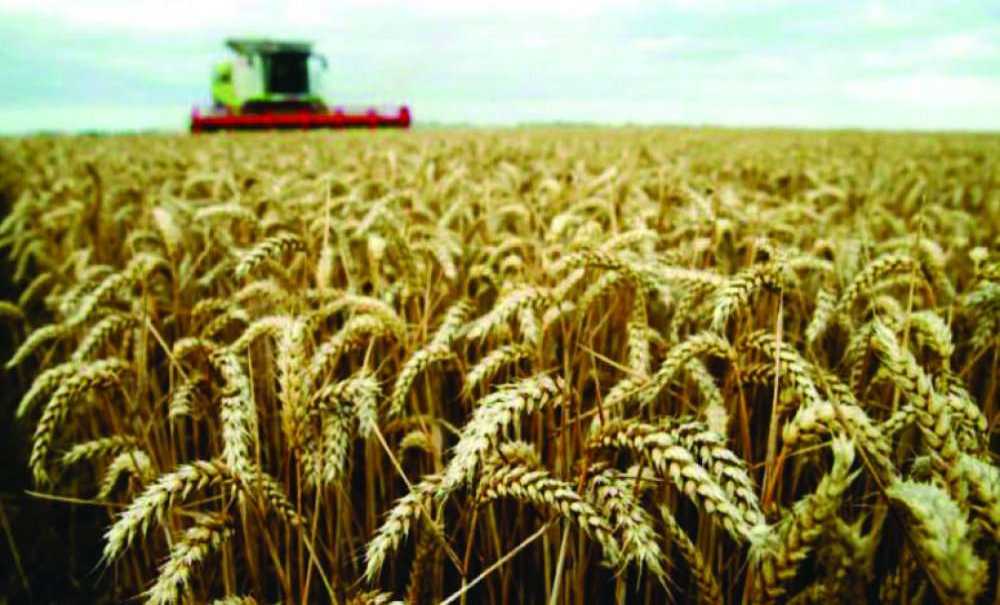 Sokağa Çıkma Yasağı Çiftçileri Etkilemeyecek