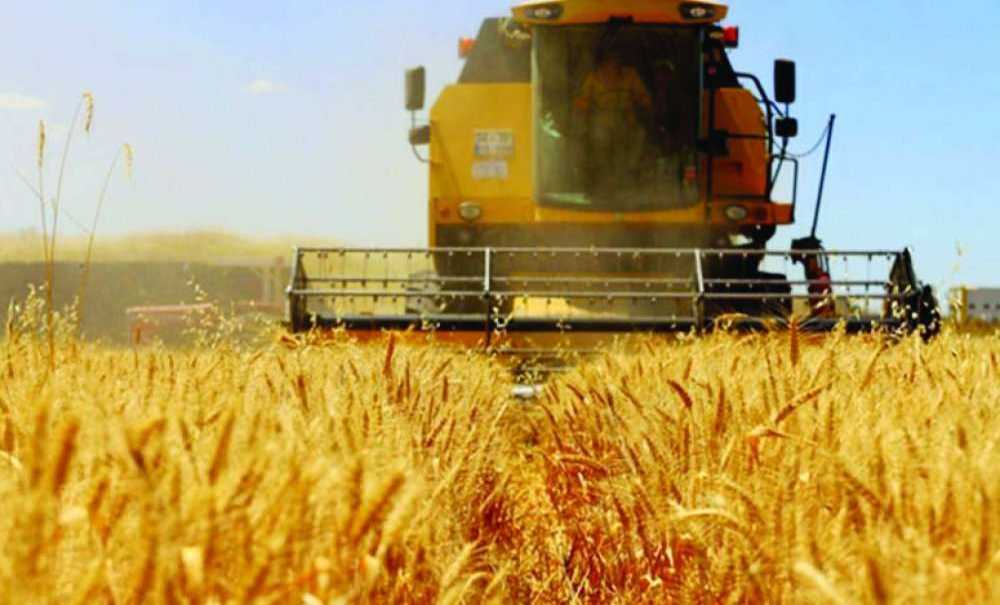 Sokağa Çıkma Yasağı Çiftçileri Etkilemeyecek