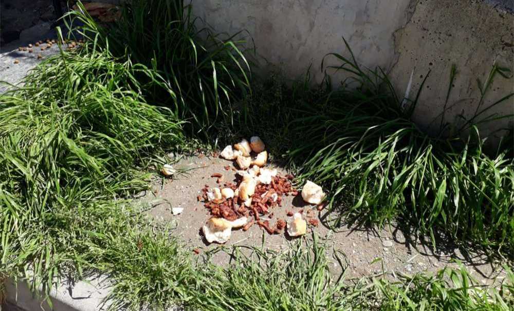 Esnaflar Sokak Hayvanlarını Aç Bırakmıyor